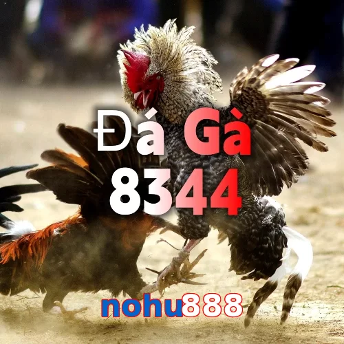 nohu888