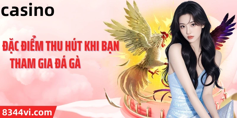 Hình ảnh quảng cáo của nohu888 hiển thị nền tảng và các lợi ích